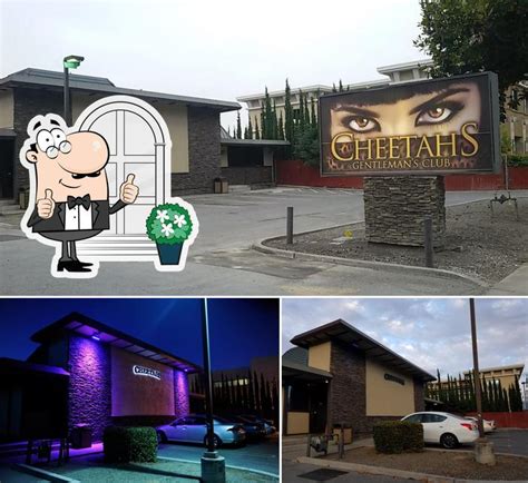 cheetahs sunnyvale|Cheetahs Gentlemen's Club .